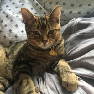 Meet your Posher, Nicole